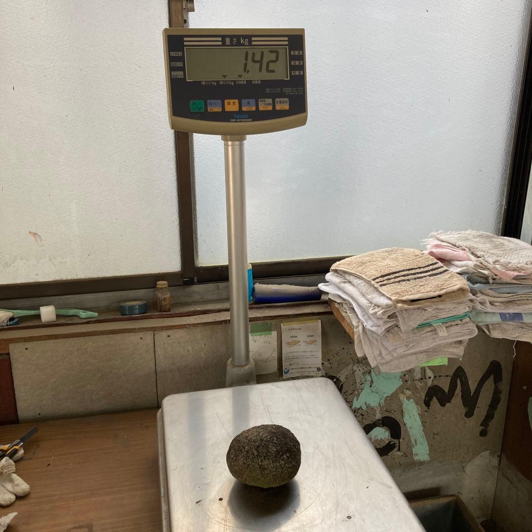 珍品 古神道 丸石神 原石 宗教研究家さん整理品 神社丸石 1.4kg