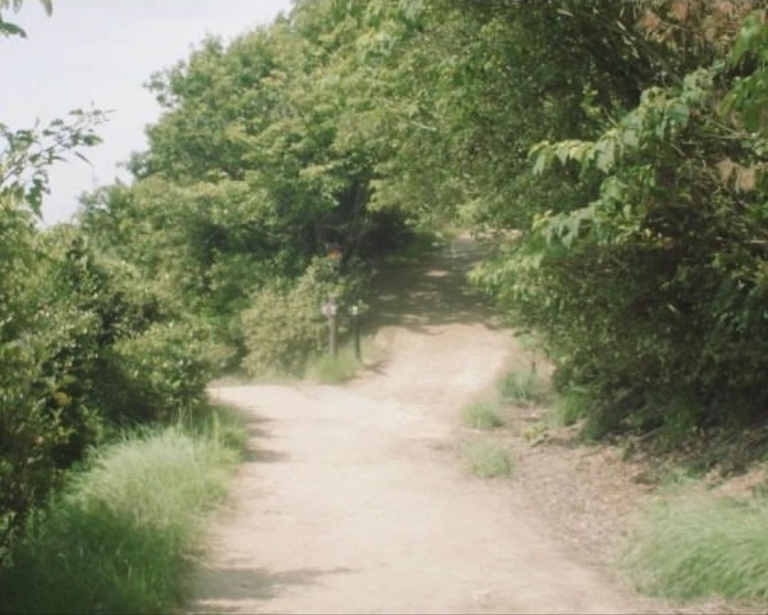 【ジャンク】P.Anegnieux 15mm f1.3 Cマウント