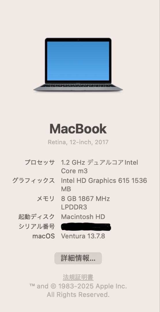 【極美品・低使用】MacBook 12インチ 2017 【充放電回数90回】