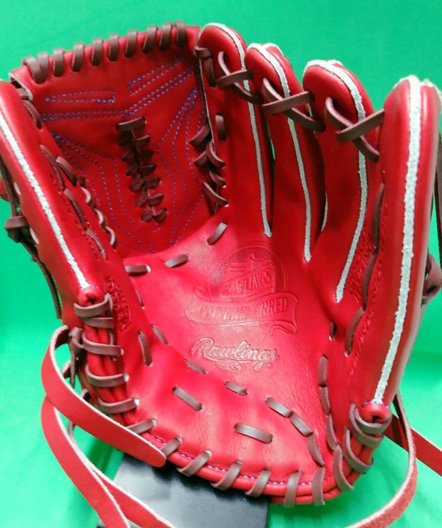 485.Rawlings硬式オーダーグラブ