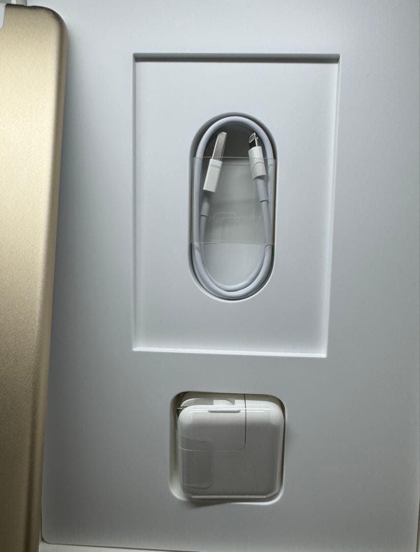 【美品保管品】Apple iPad Air2 ゴールド本体