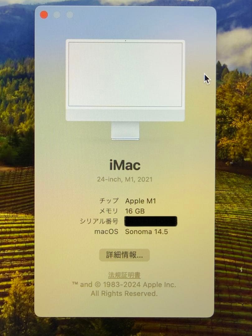 き*ん様 【美品】Apple iMac (M1,16GBメモリ,1TB SSD)