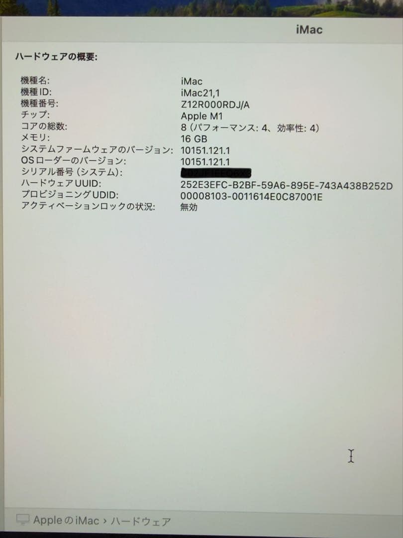 き*ん様 【美品】Apple iMac (M1,16GBメモリ,1TB SSD)