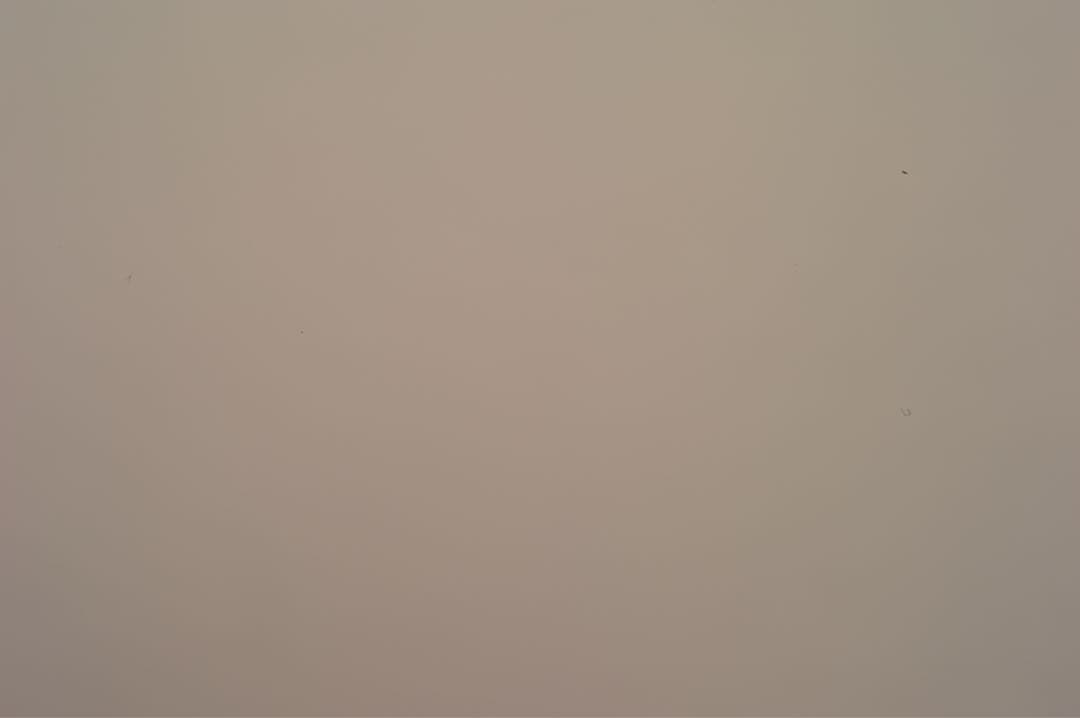 【CCD搭載＋純正テザー/レリーズ付】Leica S2 中判 バッテリー2個