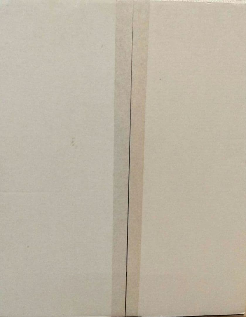 【希少】スノーピーク IGTショート ロースタイルセット ブラ