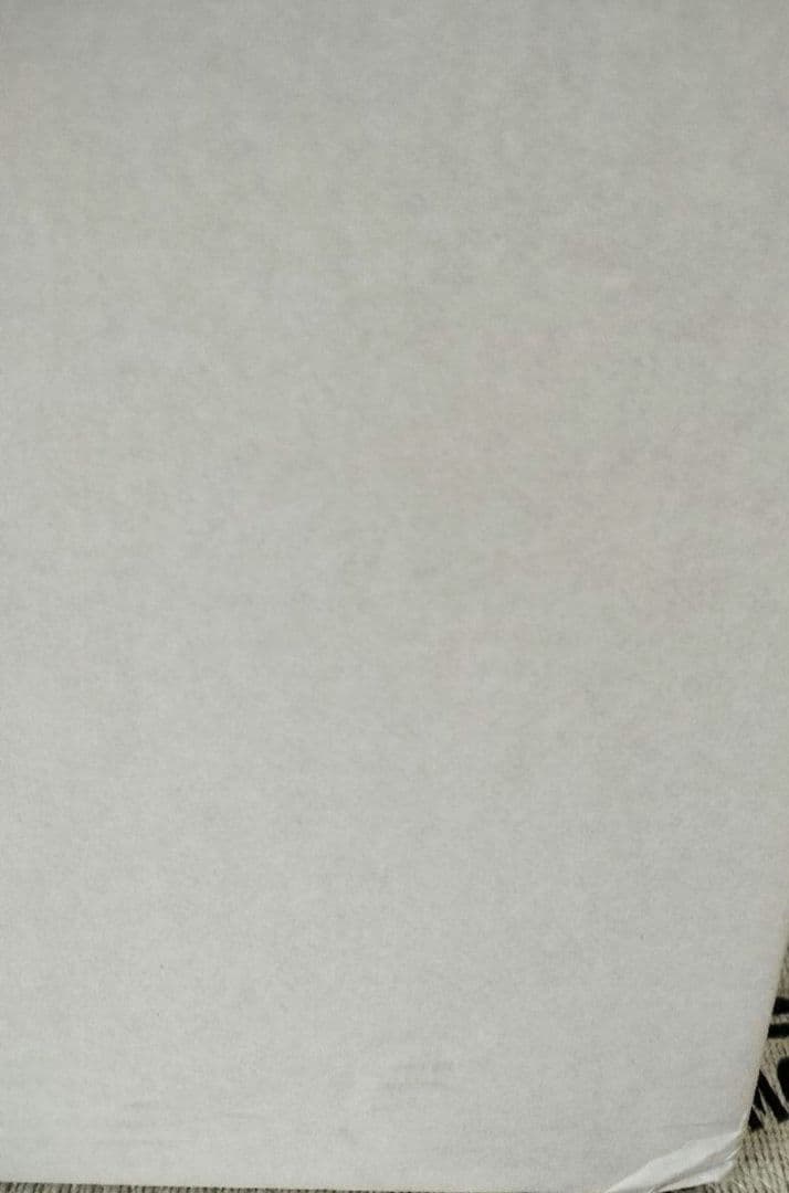 【希少】スノーピーク IGTショート ロースタイルセット ブラ