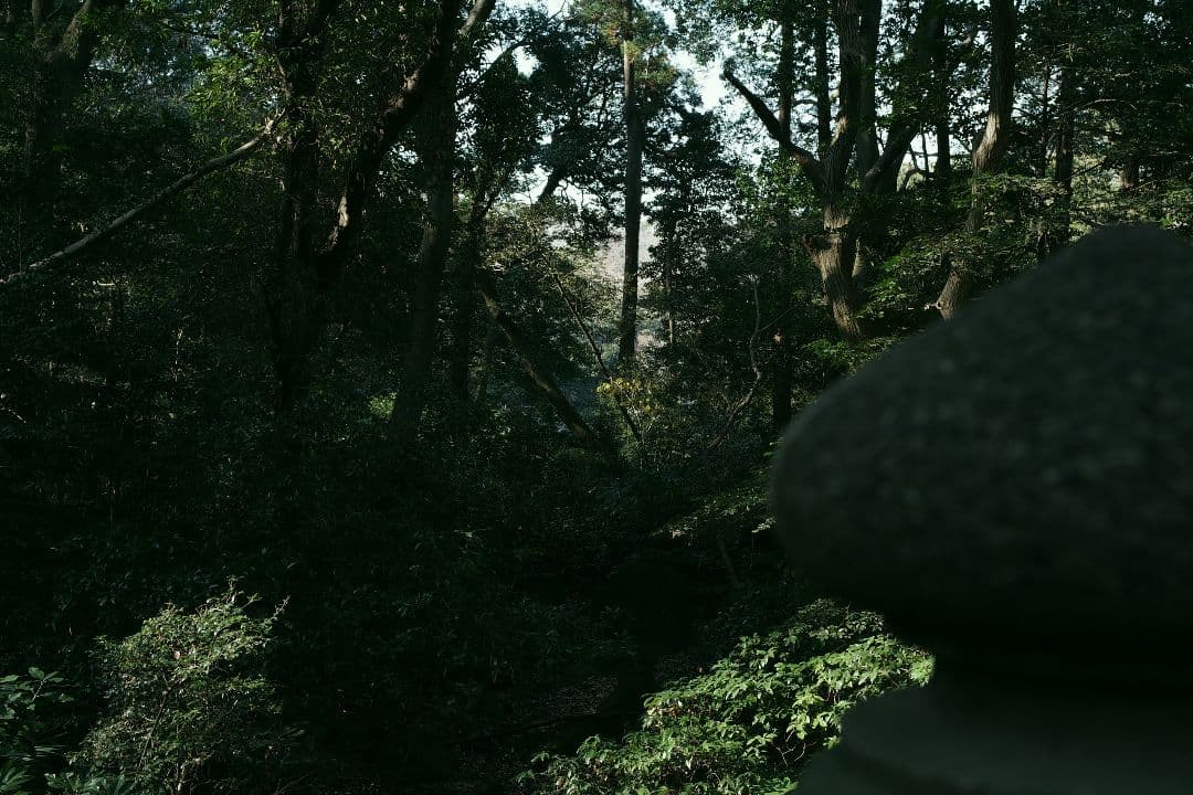 デジタルカメラ PENTAX K-3 Mark III + HD 20-40mm Limited