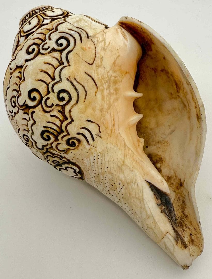 ◆チベット密教法具　法螺貝（シャンカ）弁財天（サラスヴァティー）1