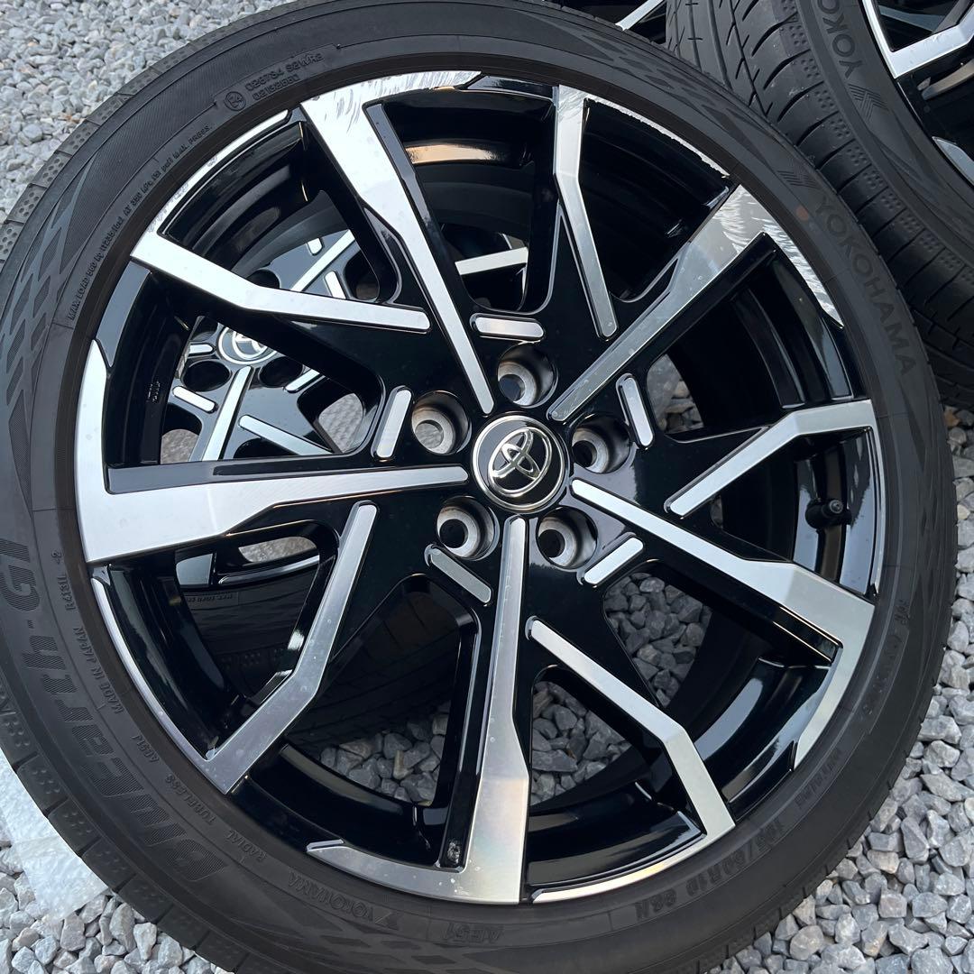 金井(きんきんせんせい)プロフ必読