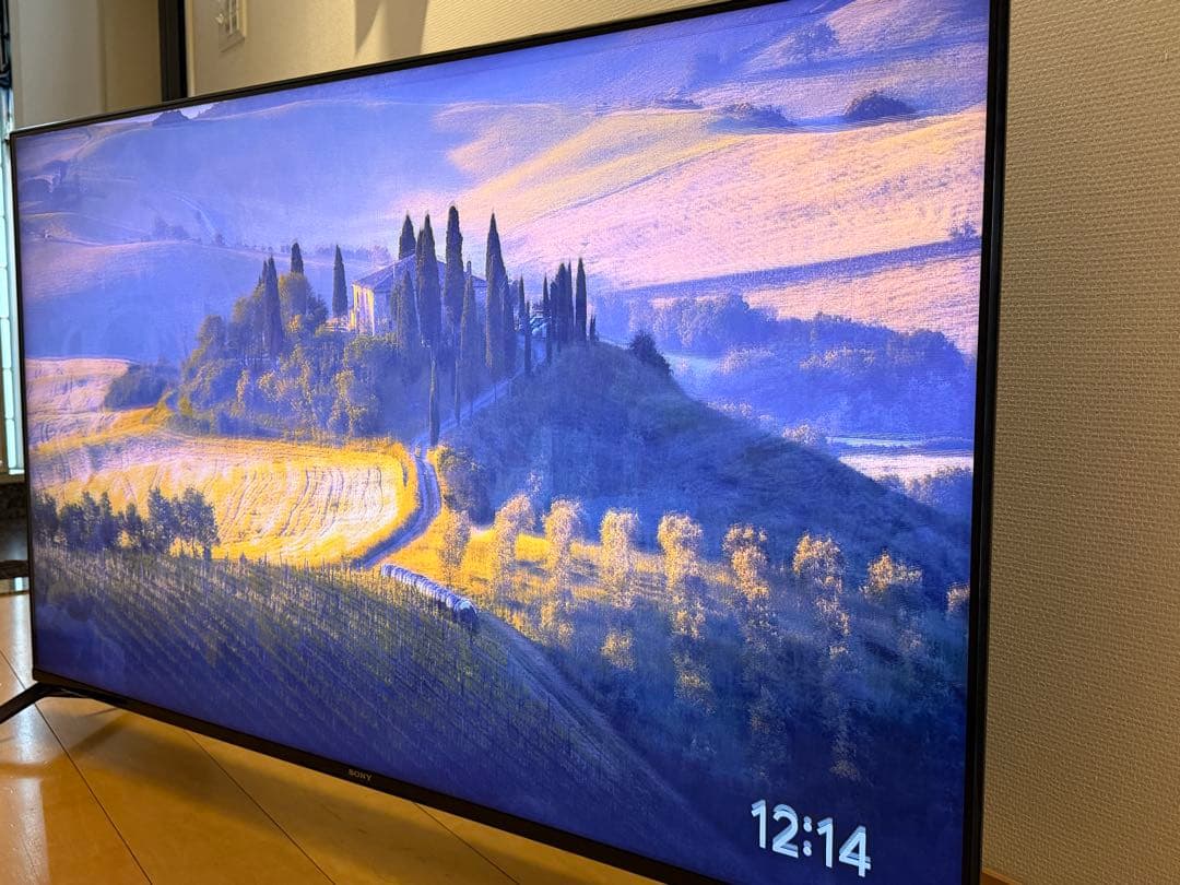 ジャンク SONY BRAVIA XRJ-55X90J 本体のみ