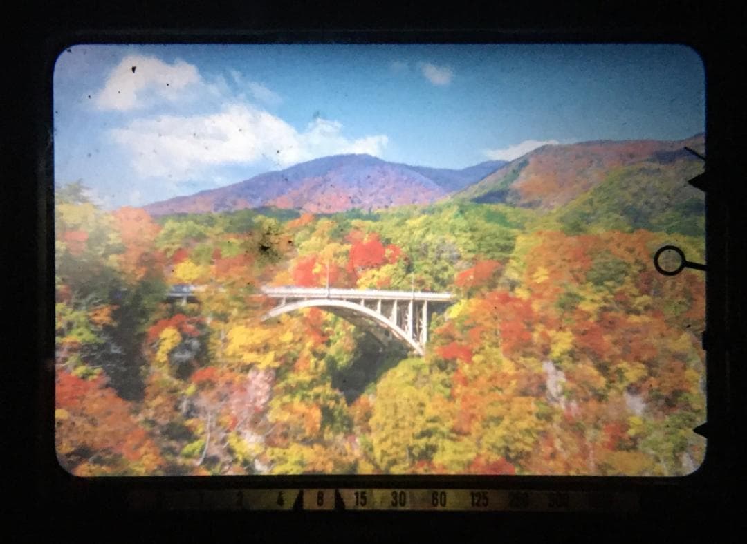 【整備済　並品】ミノルタ SRT101 50mm F1.7 露出計OK#1263