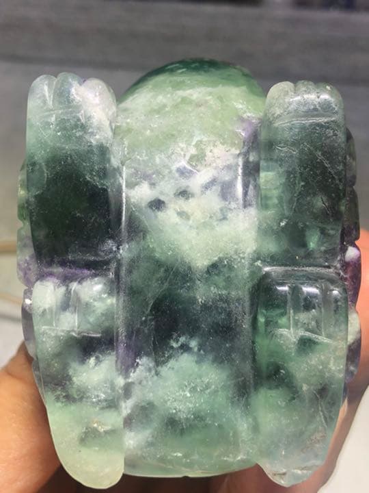 フローライト 笑口 亀