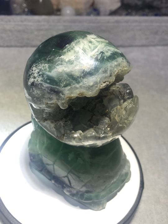 フローライト 笑口 亀