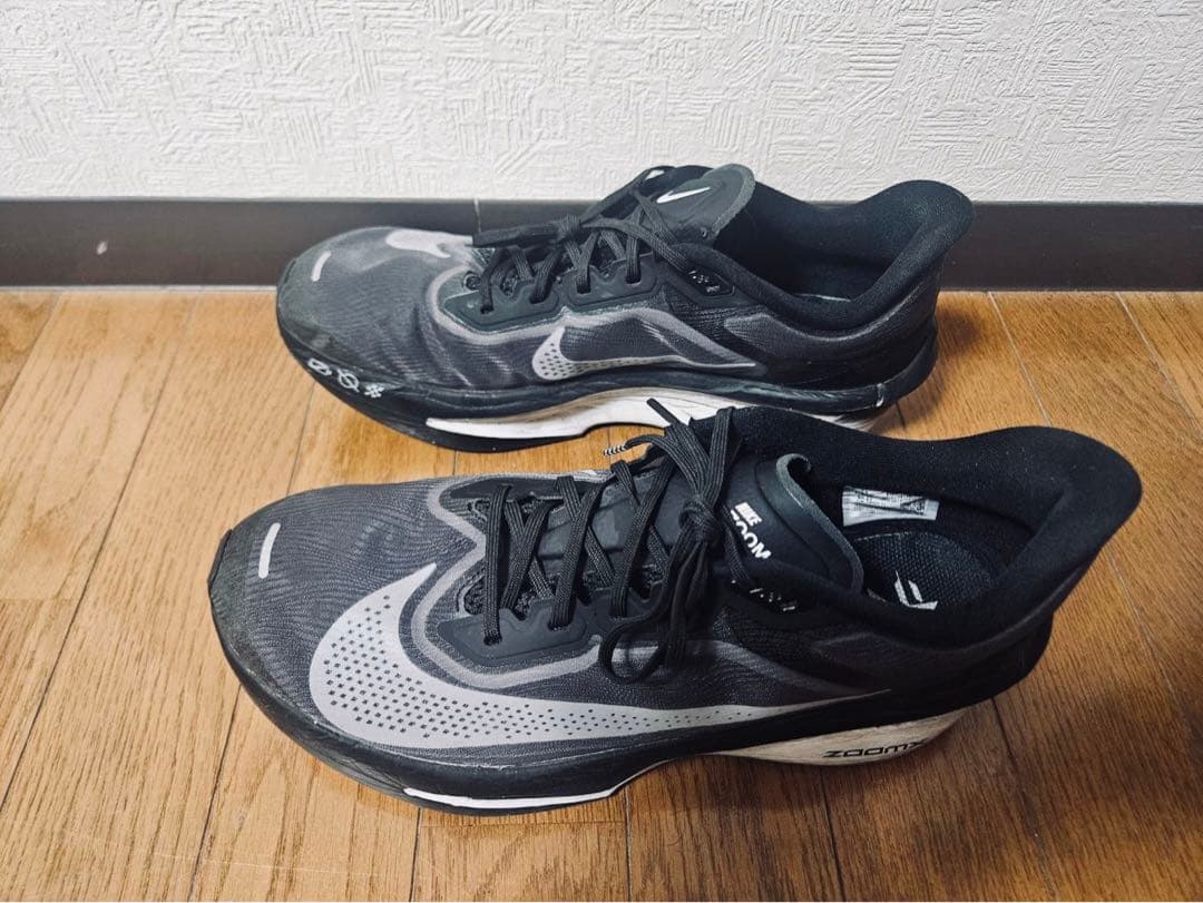 Nikeズームフライ6／Zoom Fly 6／29cm