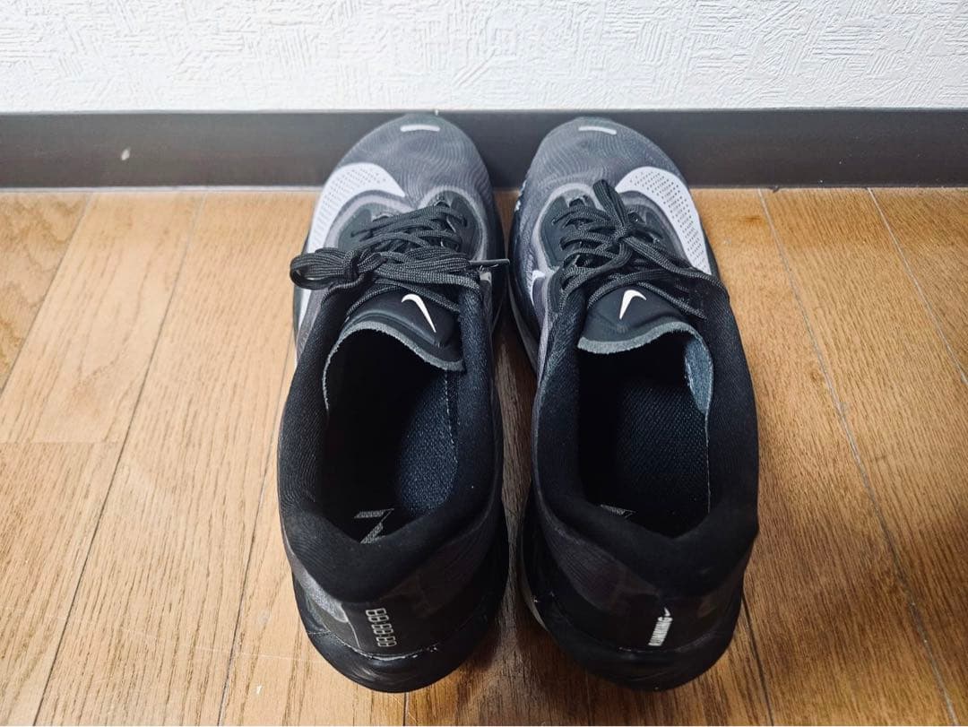 Nikeズームフライ6／Zoom Fly 6／29cm