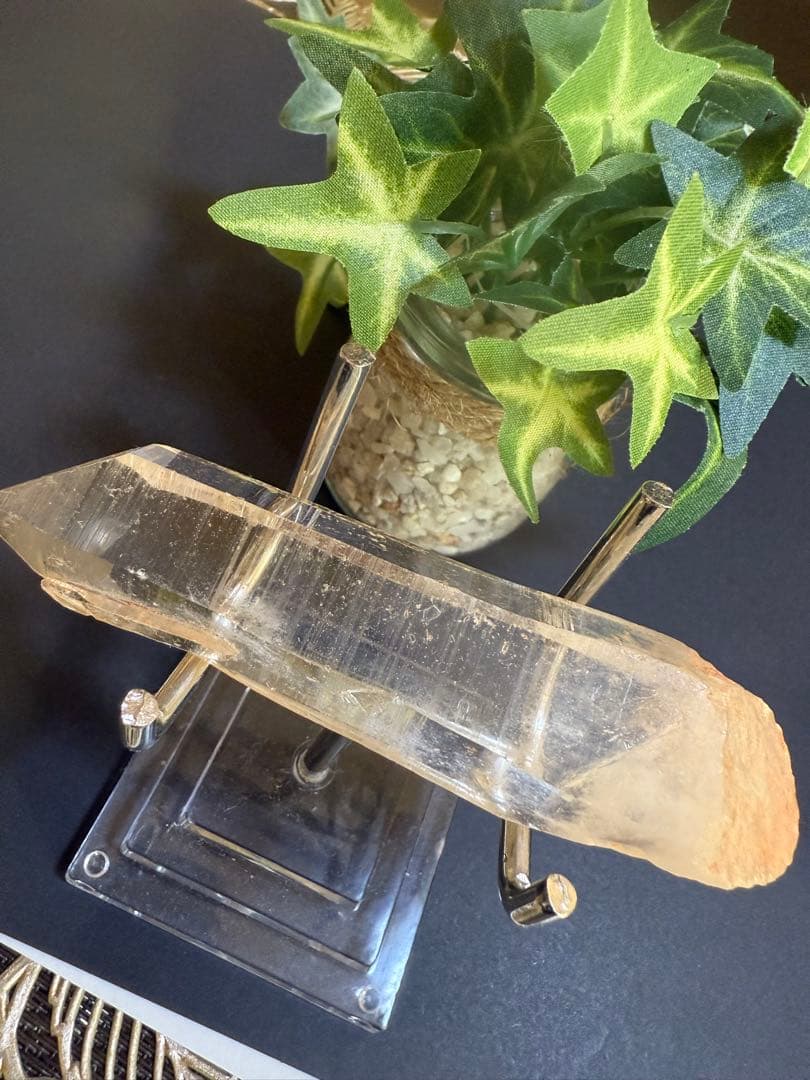 第２弾Special rank Bigピンクレムリアンシード