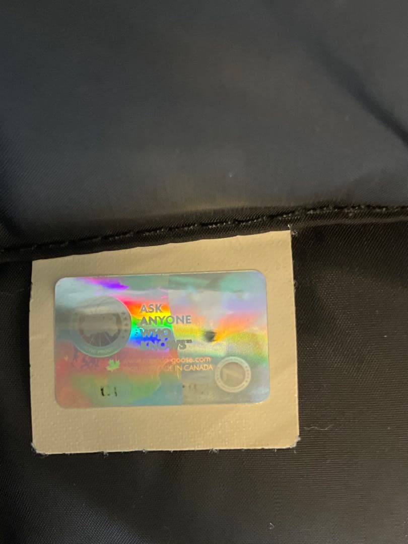 カナダグース　カムループス