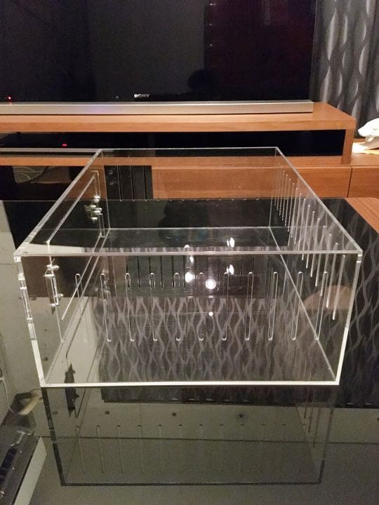 爬虫類ゲージ アクリルゲージ 【 No.1 】