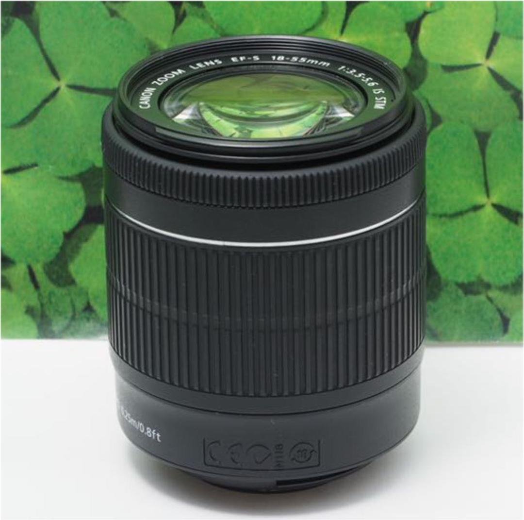 【美品】キヤノンEF-S18-55mm STM標準ズーム⭐️音が静かで動画で活躍