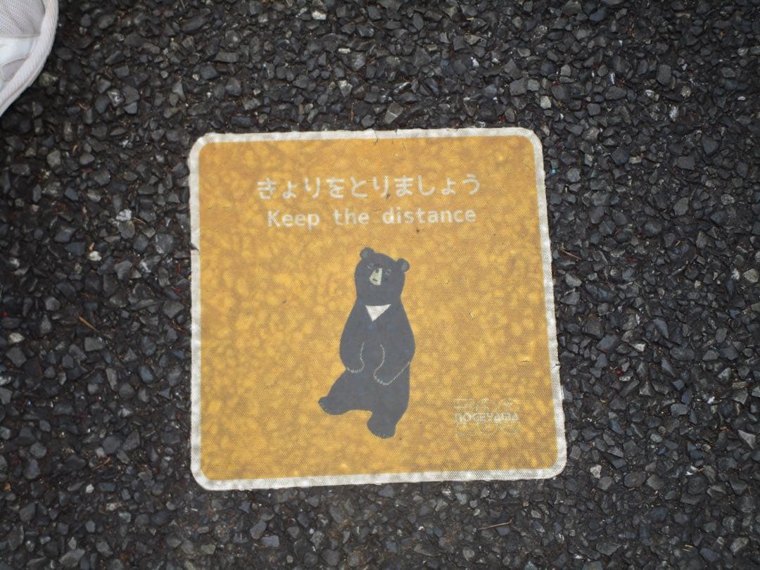 Canon IXY 190 レッド 動作確認済み　付属品完備