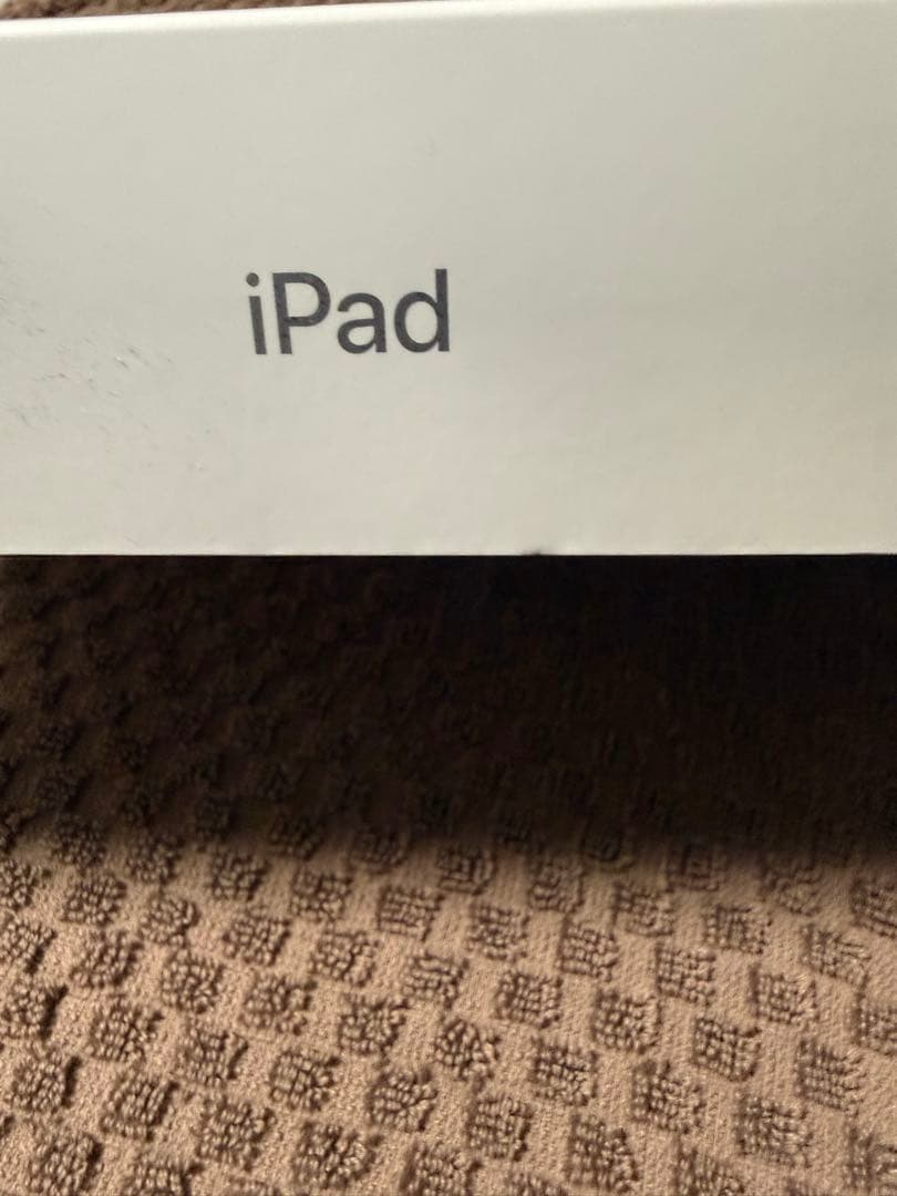 Apple iPad (第10世代) シルバー 本体＋Apple Pencil