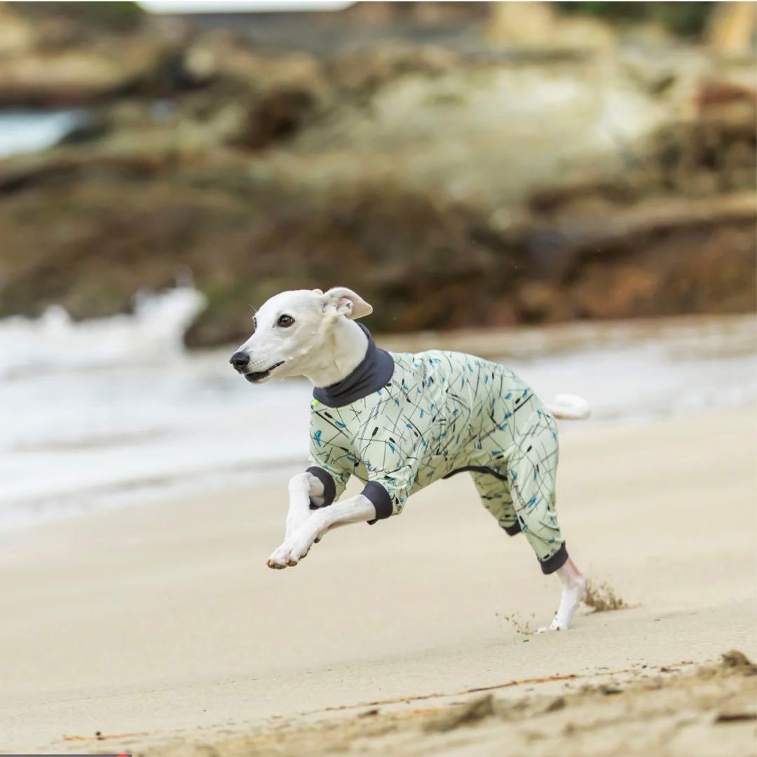 新品未開封品 ALPHAICON FULL DOG GUARD フルドッグガード