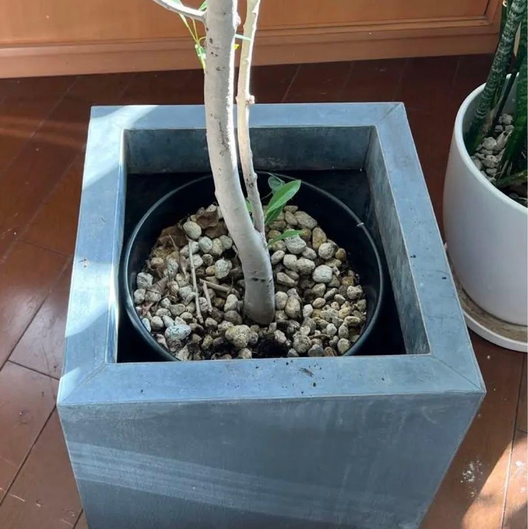 DOMANI ドマーニ ZINC CUBE HZCR40 鉢　プランター