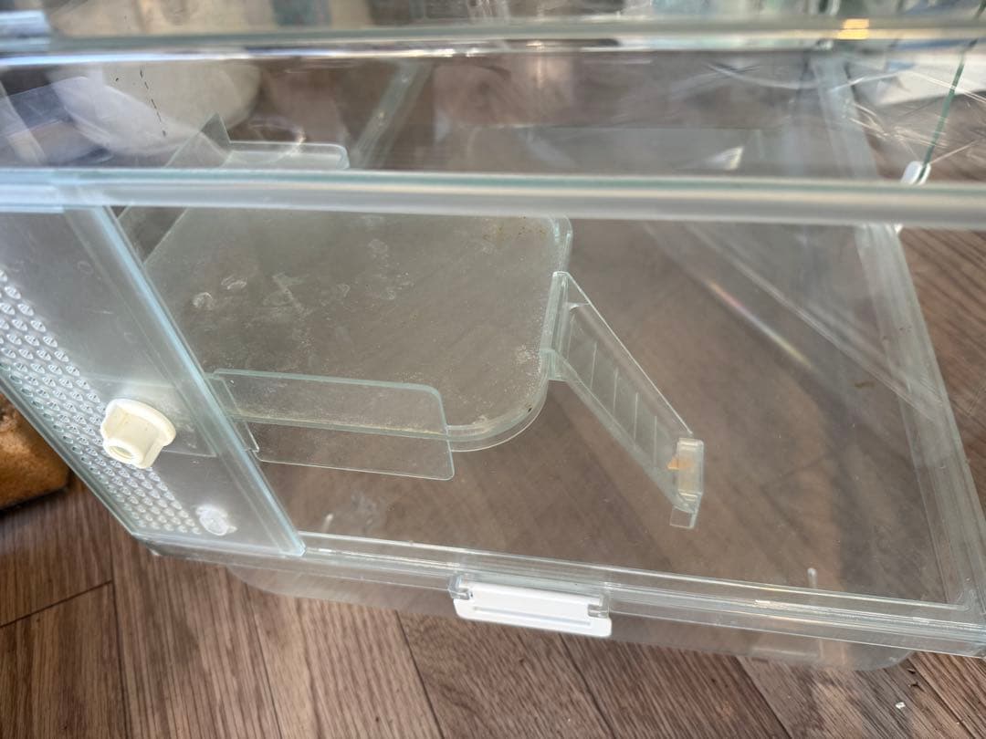 GEX グラスハーモニー600＋ステージ