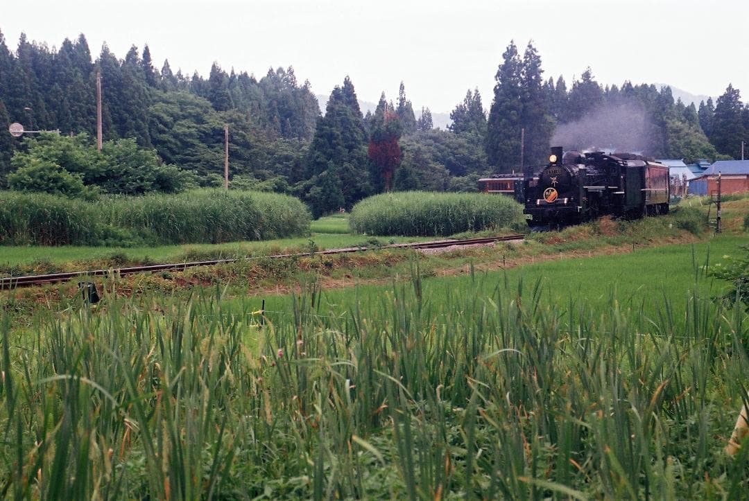 【実写確認済整備品】コンタックス139Quartz／ヤシカML50㎜f1.9付