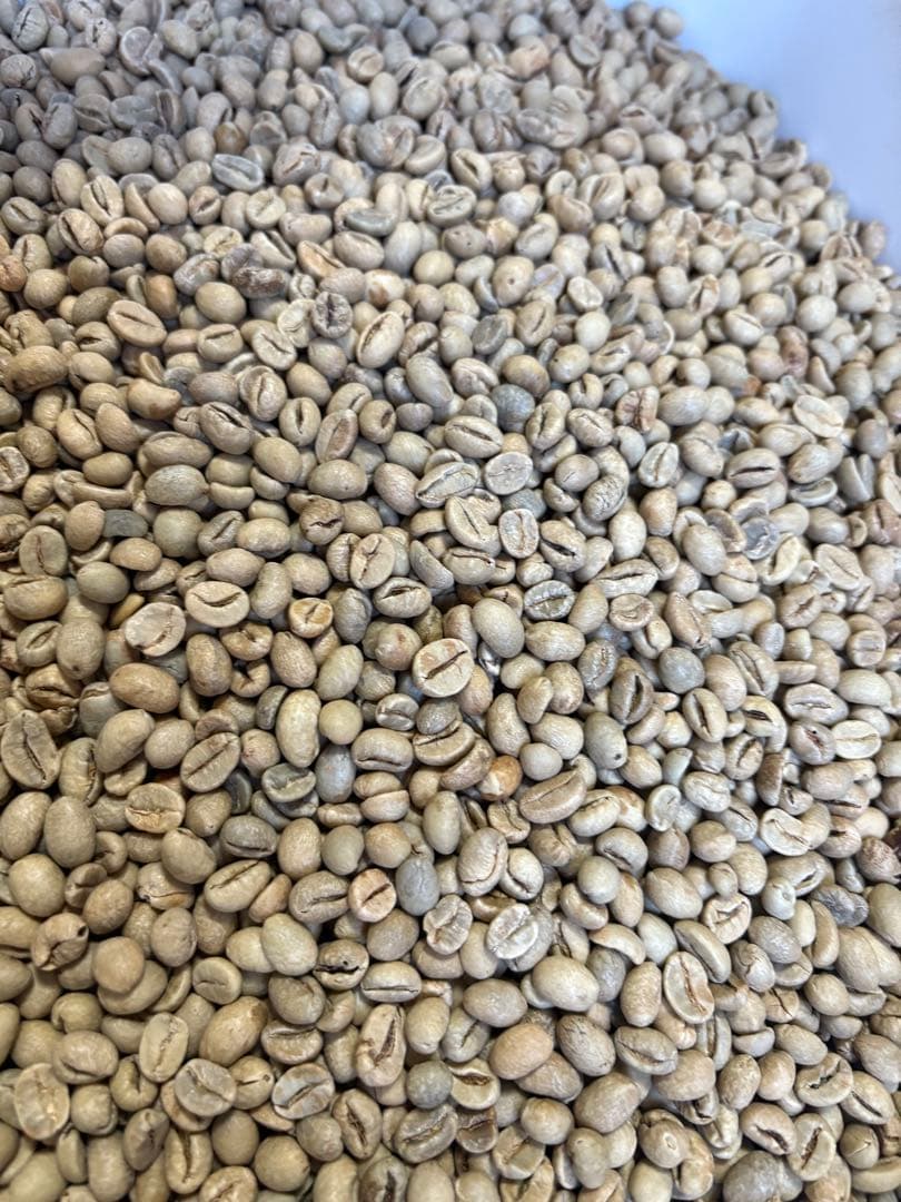 コーヒー生豆/おまかせ5種10kg