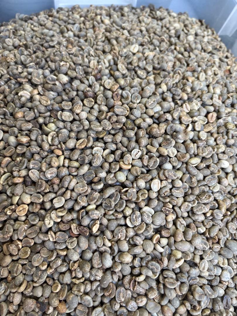 コーヒー生豆/おまかせ5種10kg