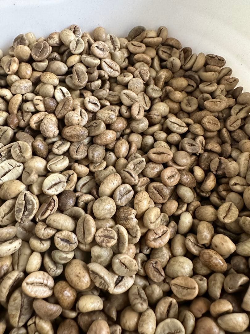 コーヒー生豆/おまかせ5種10kg