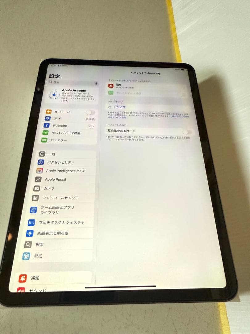 ◾️激美品◾️iPad Pro11インチ256GB｜Wi-Fi セルラー｜97%