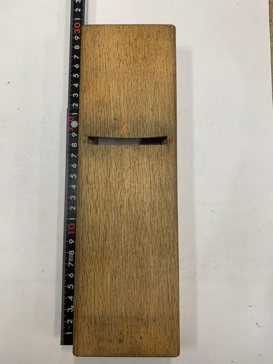 カンナ 土牛巨匠 白樫台