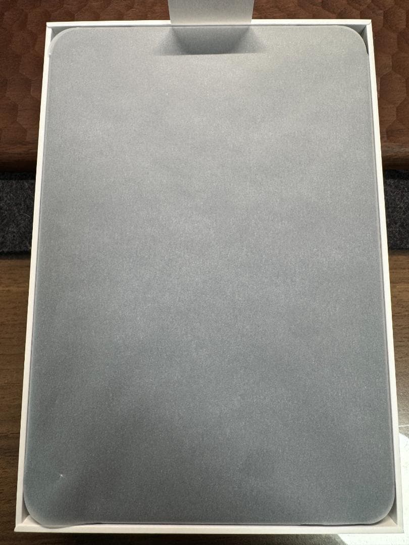 ふ*あ様 iPad mini 第6世代 256GB Cellular Penci