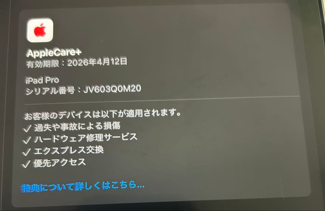 iPad Pro 第4世代 11インチ(128G) 本体(Apple care)