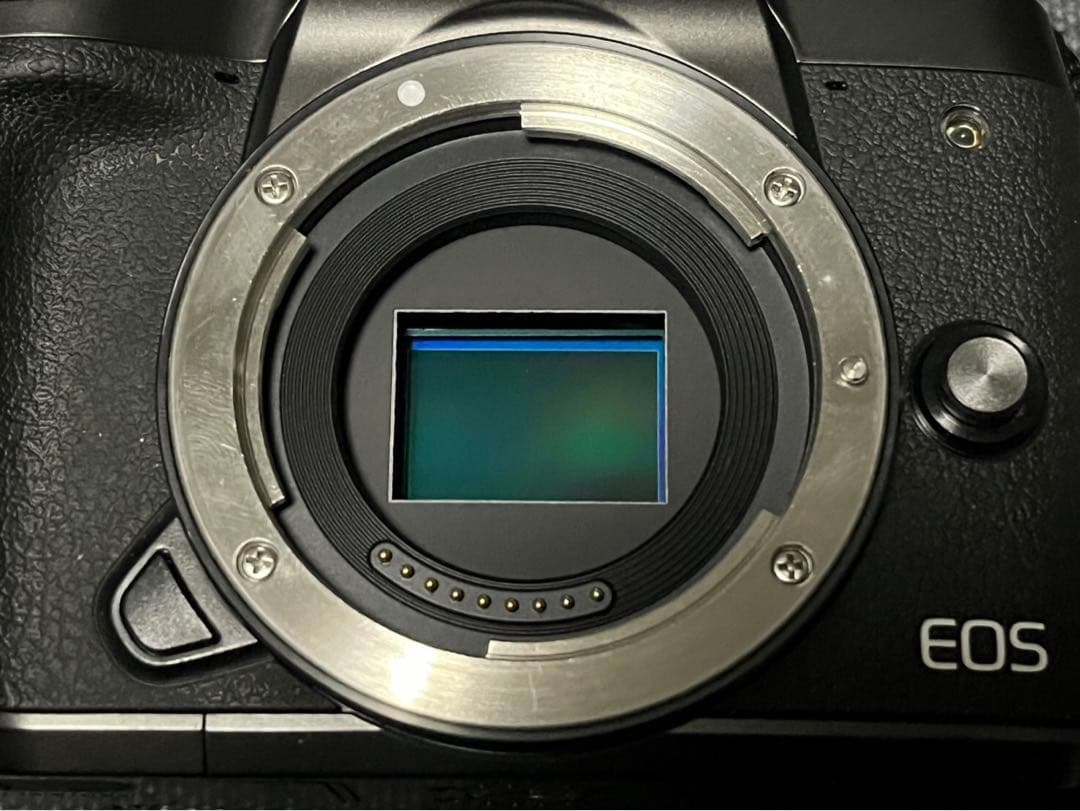 レンズ付‼️Canon EOS M5 ミラーレス一眼カメラ