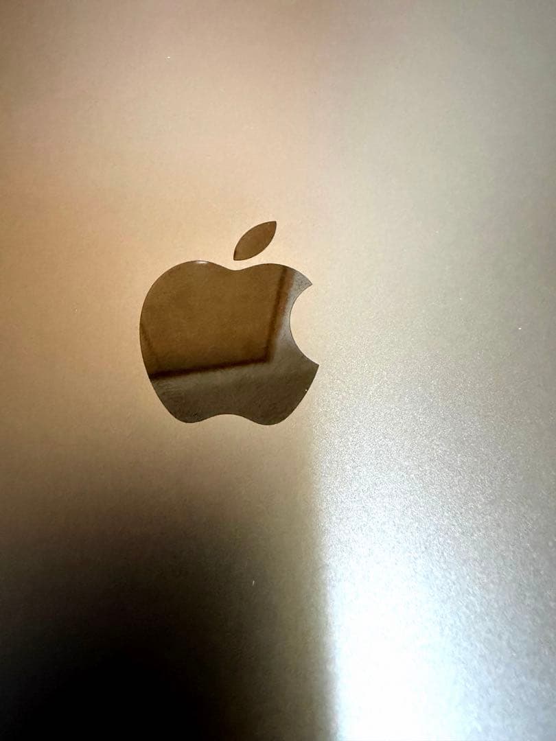 iPad Pro (12.9インチ ) (第4世代)スペースグレー 箱付き