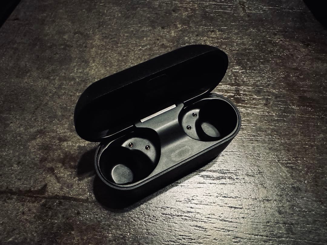 Technics EAH-AZ100 ワイヤレスイヤホン 左(L)+充電ケース