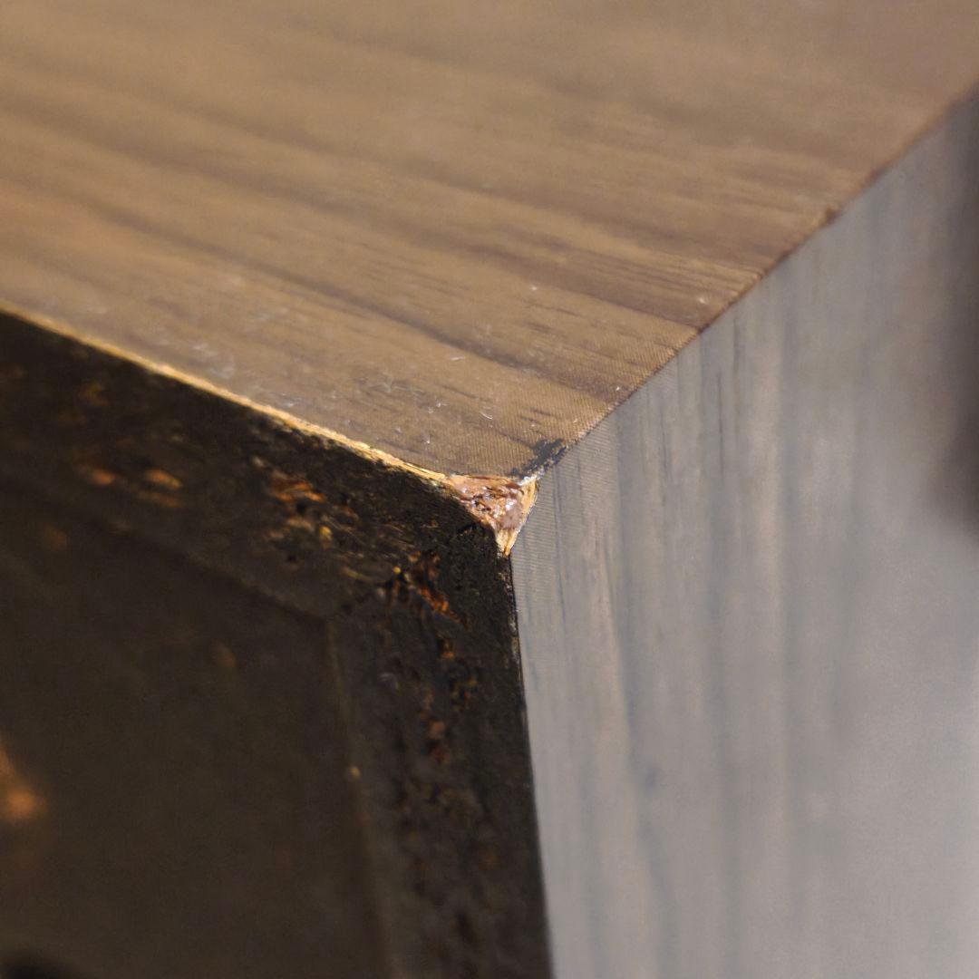 DIATONE DS-G20 ユニット ＋ DS-300V エンクロージャー