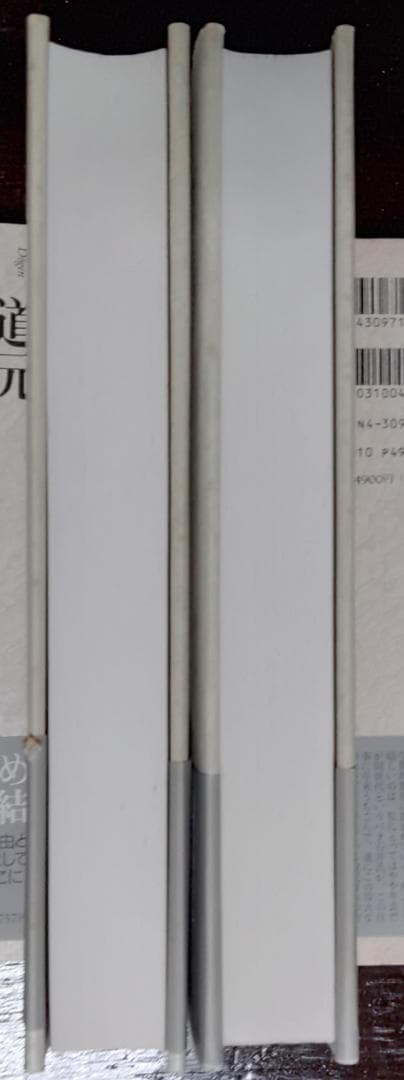 正法眼蔵　全4冊　【原文】道元【注釈・現代語訳】石井恭二／河出書房新社