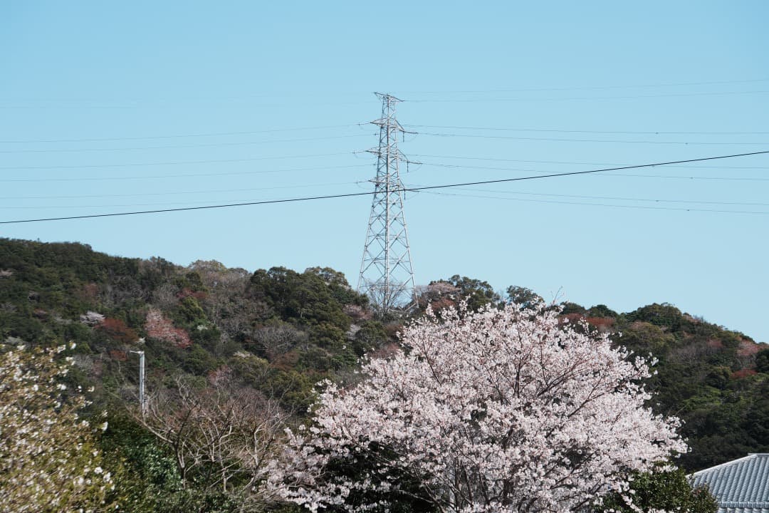 【運動会・スポーツに】SONY 望遠ズームレンズ SEL55210 514