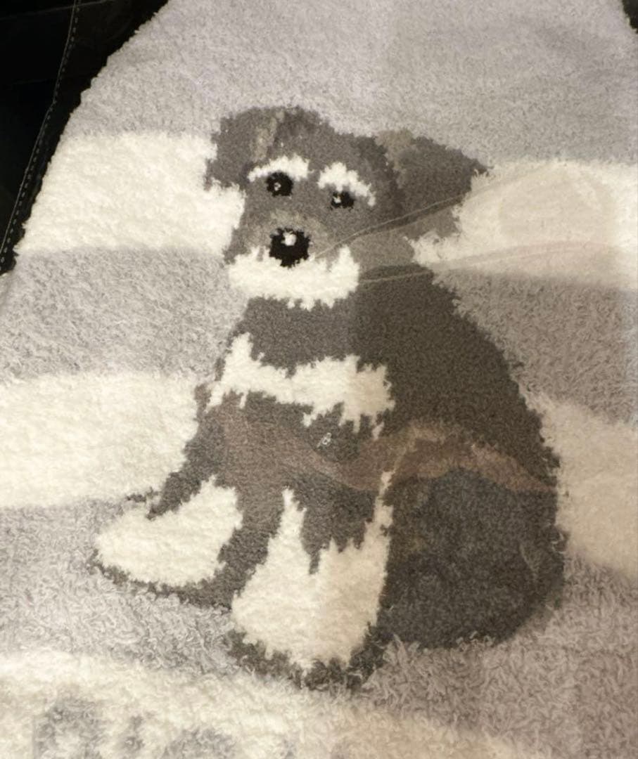 ジェラートピケ　ベビモコシュナウザージャガードプルオーバー　XL