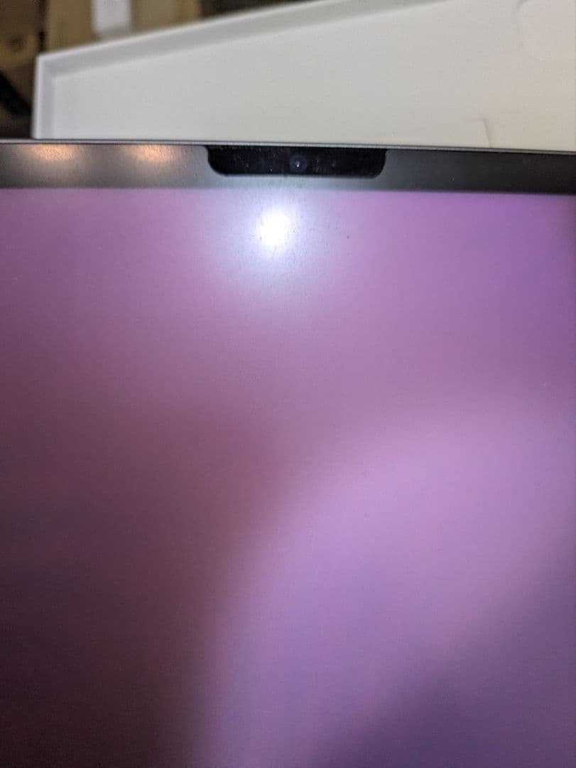 Apple iPad Pro12.9 M1 256GB wifi　美品