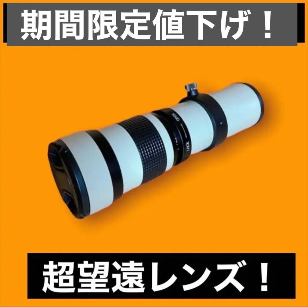 驚異のズームレンズ！SONYミラーレスカメラ用！便利な袋付き！アダプター付き！