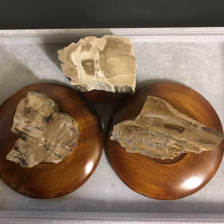 b★特選オンリー１品石★木の化石☆【ペトリファイドウッド珪化木✴︎原石】♡