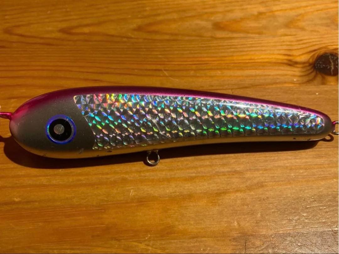 ローカルスタンダード　サージベイト170