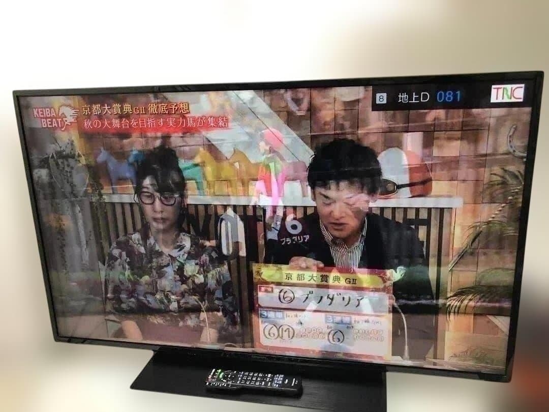 送料無料 TH-49GR770 49 4K 液晶テレビ パナソニック 88275