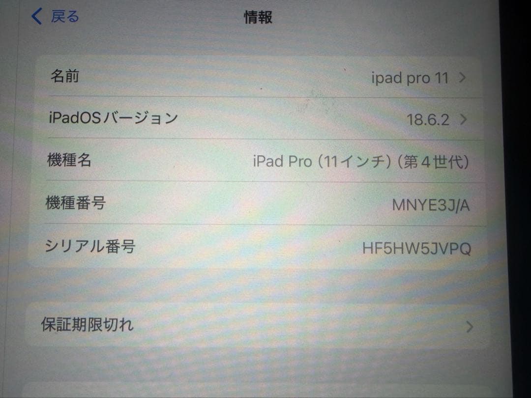 iPad Pro 11インチ 第4世代256GB Cellular