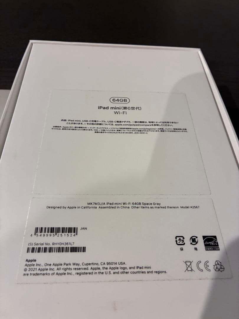 「楓」iPad mini (第6世代) 64GB